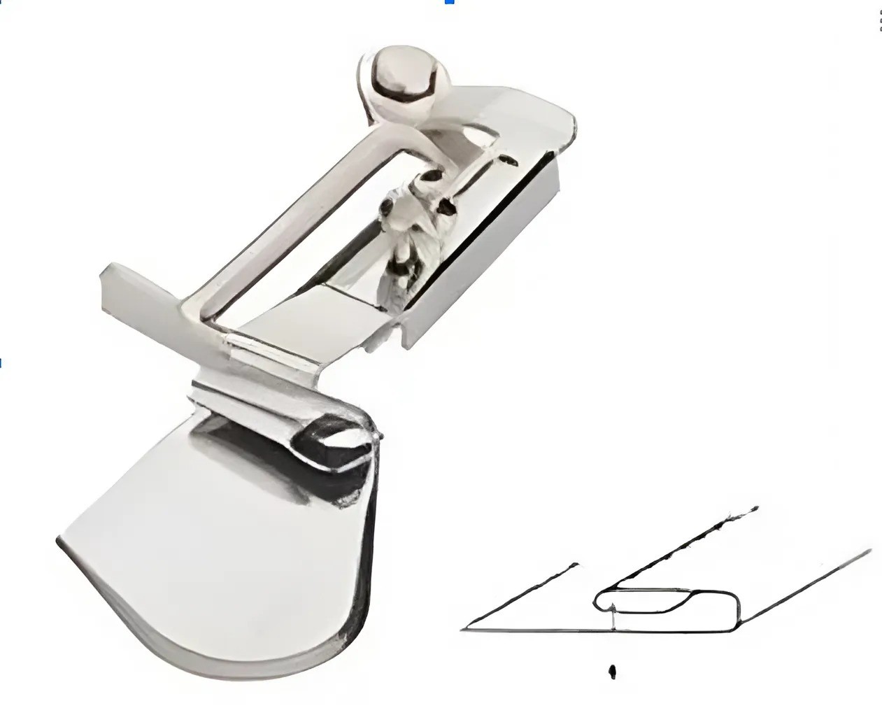 CỮ VIỀN CUỐN GẤU